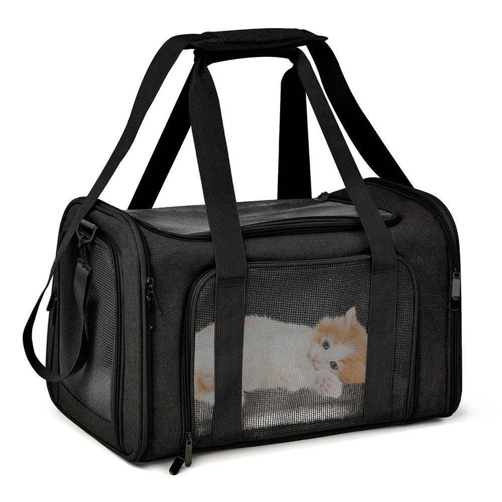 Foldable Backpack Small - Katlanabilir Su Geçirmez Seyahat Kedi Taşıma